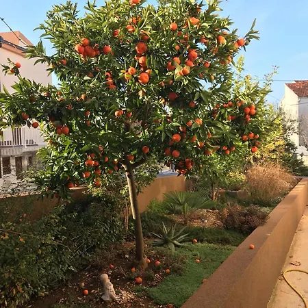 Bozana Apartmán Trogir