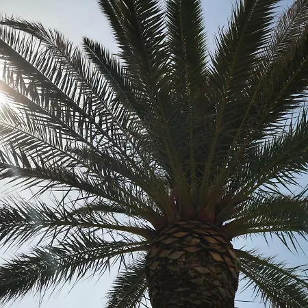 Bozana Appartement Trogir