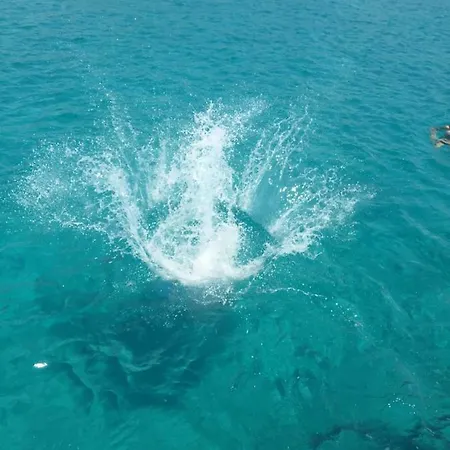 Bozana Апартаменты Трогир