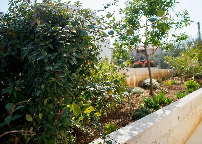 Appartement Bozana *