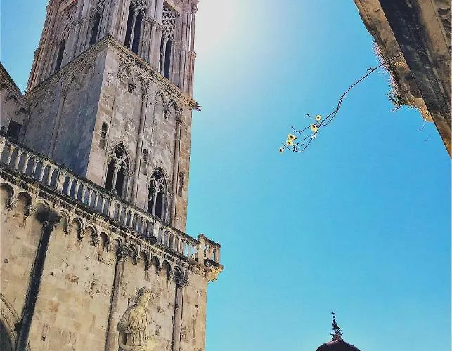 Bozana Trogir