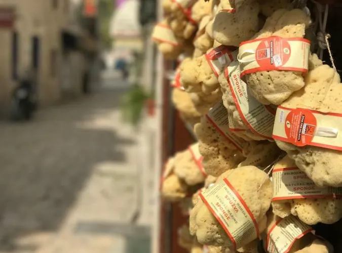 Bozana Trogir