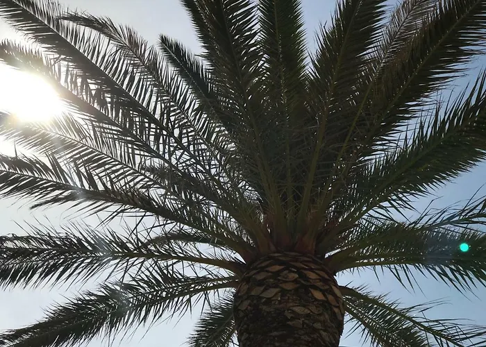 Bozana Appartement Trogir